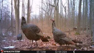 V.l. E Predmore, Update, MI 48363 photo 20