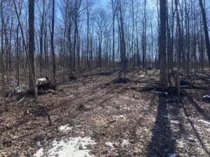 V.l. E Predmore, Update, MI 48363 photo 16