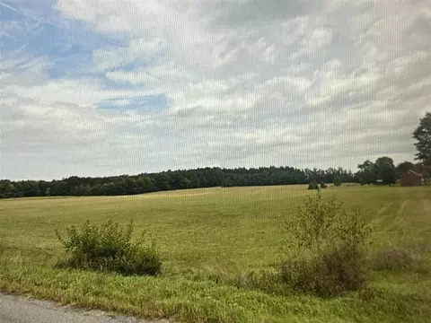 20 Acres 76th, Decatur, MI 49045