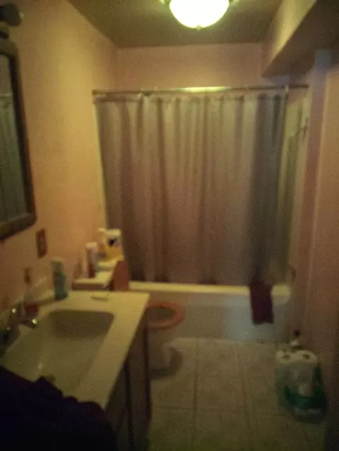 15570 Bailey, Bailey, MI 49303 photo 16