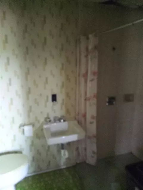15570 Bailey, Bailey, MI 49303 photo 17