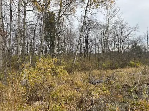 Other - 9696 10th, Remus, MI 49340 photo 11 of 17