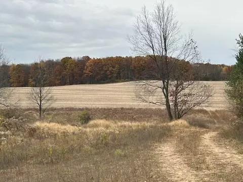 Other - 9696 10th, Remus, MI 49340 photo 16 of 17
