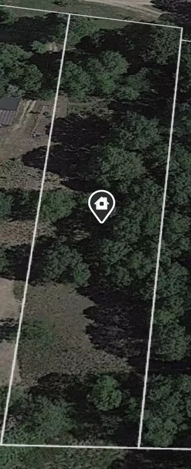 9503 W Mcfall Lk, Branch, MI 49402