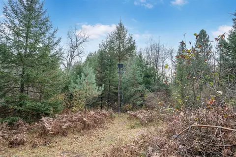 00 E Cranberry Lake Rd, Gladwin, MI 48624 photo 10