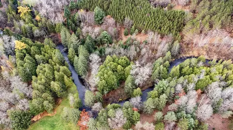 00 E Cranberry Lake Rd, Gladwin, MI 48624 photo 3