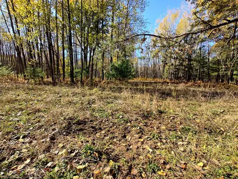 Vl Poplar Ave, Bitely, MI 49309 photo 25