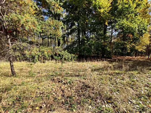 Vl Poplar Ave, Bitely, MI 49309 photo 17