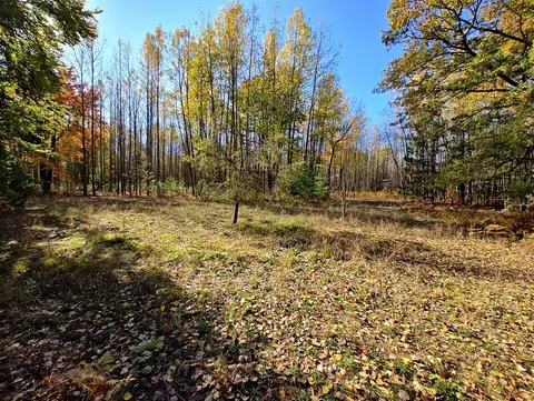 Vl Poplar Ave, Bitely, MI 49309 photo 18