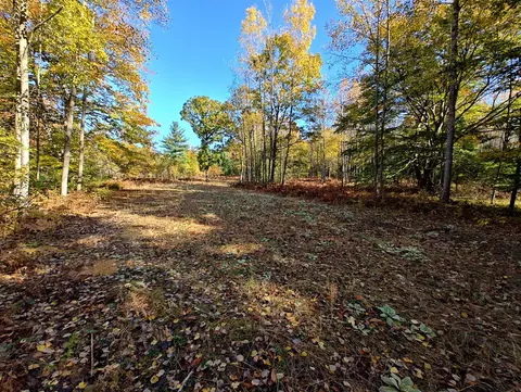Vl Poplar Ave, Bitely, MI 49309 photo 13