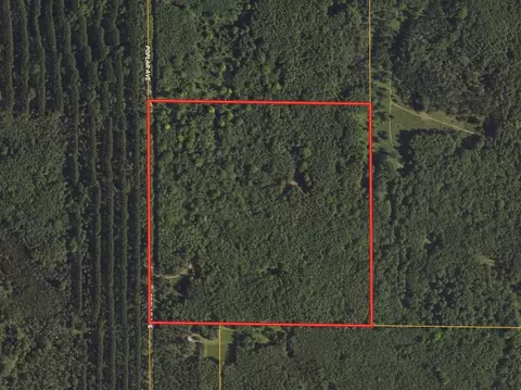 Vl Poplar Ave, Bitely, MI 49309 photo 43