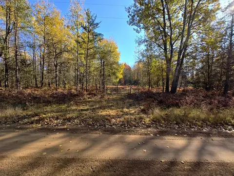 Vl Poplar Ave, Bitely, MI 49309 photo 3