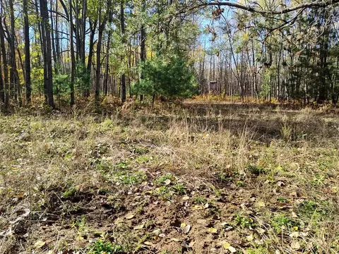 Vl Poplar Ave, Bitely, MI 49309 photo 24