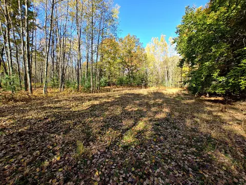 Vl Poplar Ave, Bitely, MI 49309 photo 26