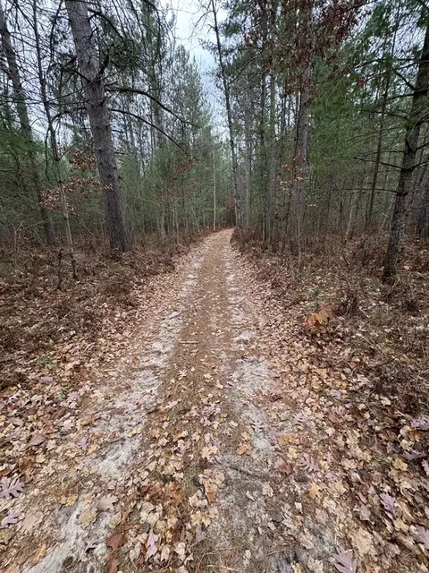 Vl Riverview, Grayling, MI 49738 photo 25