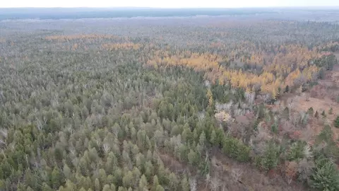 Vl Riverview, Grayling, MI 49738 photo 29
