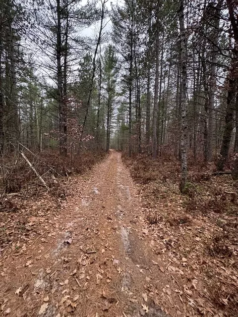 Vl Riverview, Grayling, MI 49738 photo 26