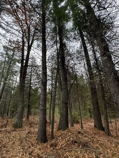 Vl Riverview, Grayling, MI 49738 photo 20