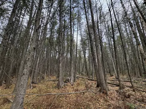 Vl Riverview, Grayling, MI 49738 photo 14