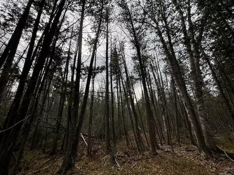 Vl Riverview, Grayling, MI 49738 photo 12