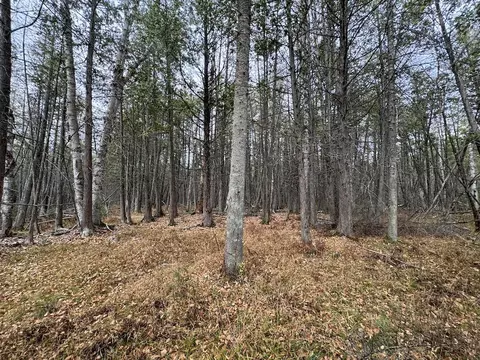 Vl Riverview, Grayling, MI 49738 photo 11