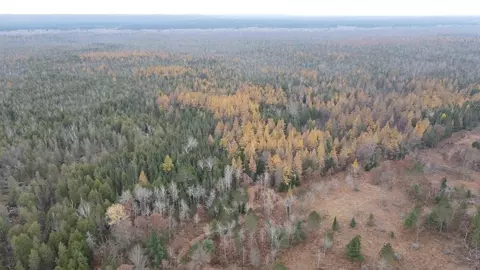 Vl Riverview, Grayling, MI 49738 photo 34