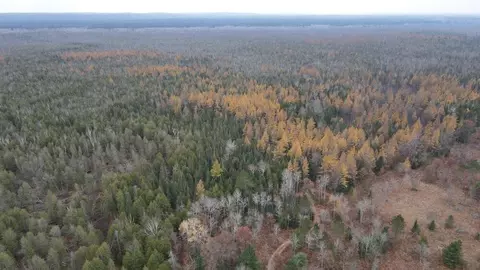Vl Riverview, Grayling, MI 49738 photo 36