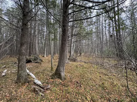 Vl Riverview, Grayling, MI 49738 photo 5