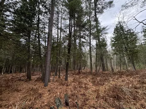 Vl Riverview, Grayling, MI 49738 photo 18