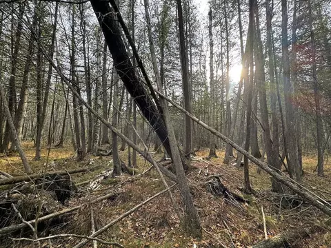 Vl Riverview, Grayling, MI 49738