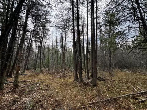 Vl Riverview, Grayling, MI 49738 photo 7