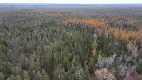 Vl Riverview, Grayling, MI 49738 photo 38