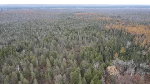 Vl Riverview, Grayling, MI 49738 photo 37