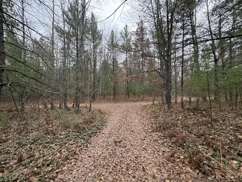 Vl Riverview, Grayling, MI 49738 photo 27