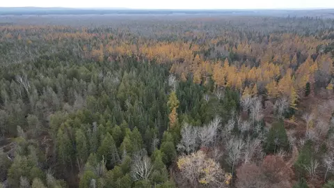 Vl Riverview, Grayling, MI 49738 photo 39