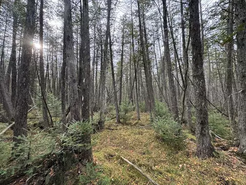 Vl Riverview, Grayling, MI 49738 photo 17