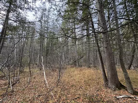 Vl Riverview, Grayling, MI 49738 photo 4