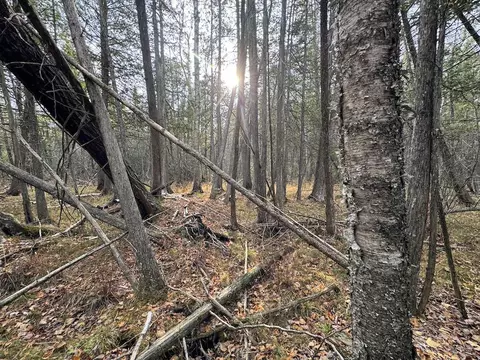 Vl Riverview, Grayling, MI 49738 photo 3