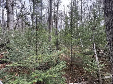 Vl Riverview, Grayling, MI 49738 photo 10
