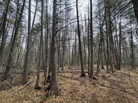 Vl Riverview, Grayling, MI 49738 photo 6