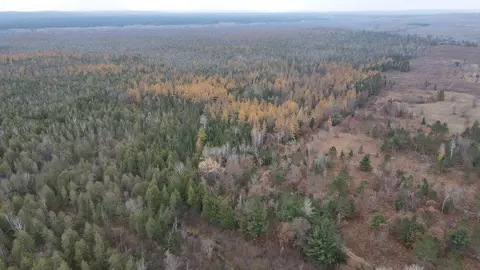 Vl Riverview, Grayling, MI 49738 photo 30