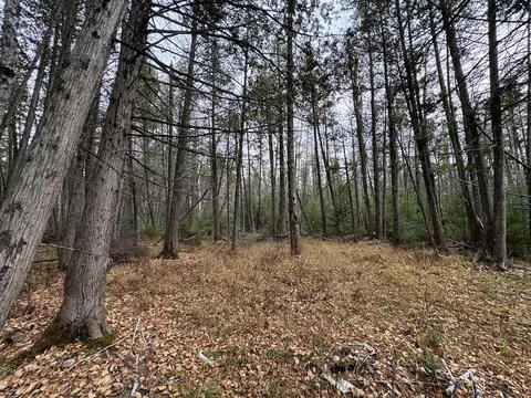 Vl Riverview, Grayling, MI 49738 photo 8