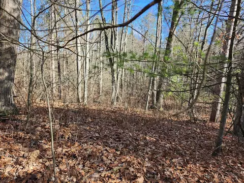Exterior - 255 E Skyline, Roscommon, MI 48653 photo 21 of 29