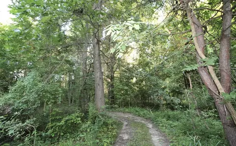 0 Rocky, Lowell, MI 49331 photo 11
