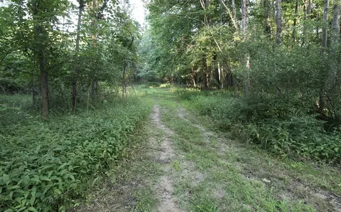 0 Rocky, Lowell, MI 49331 photo 8