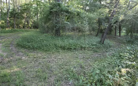 0 Rocky, Lowell, MI 49331 photo 7