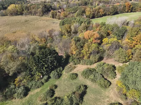 11800 Territorial, Munith, MI 49259