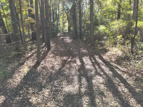 Other - 11800 Territorial, Munith, MI 49259 photo 2 of 6