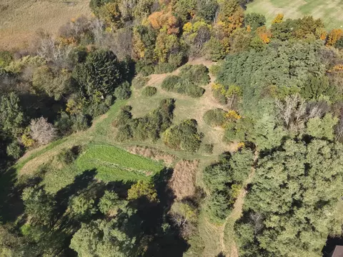 View/Area - 11800 Territorial, Munith, MI 49259 photo 2 of 4