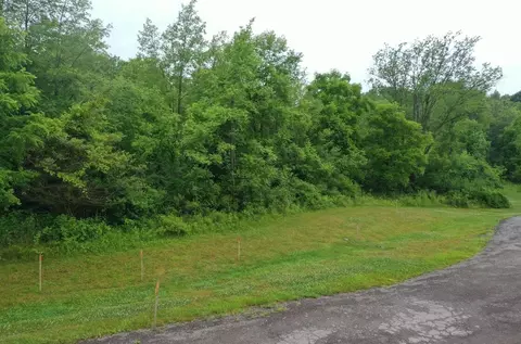 0 Hickory Rdg, Dexter, MI 48130 photo 5